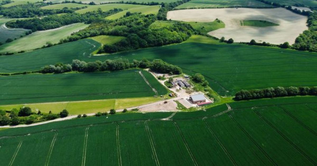 Borders property for let - commercial and residential real estate listing