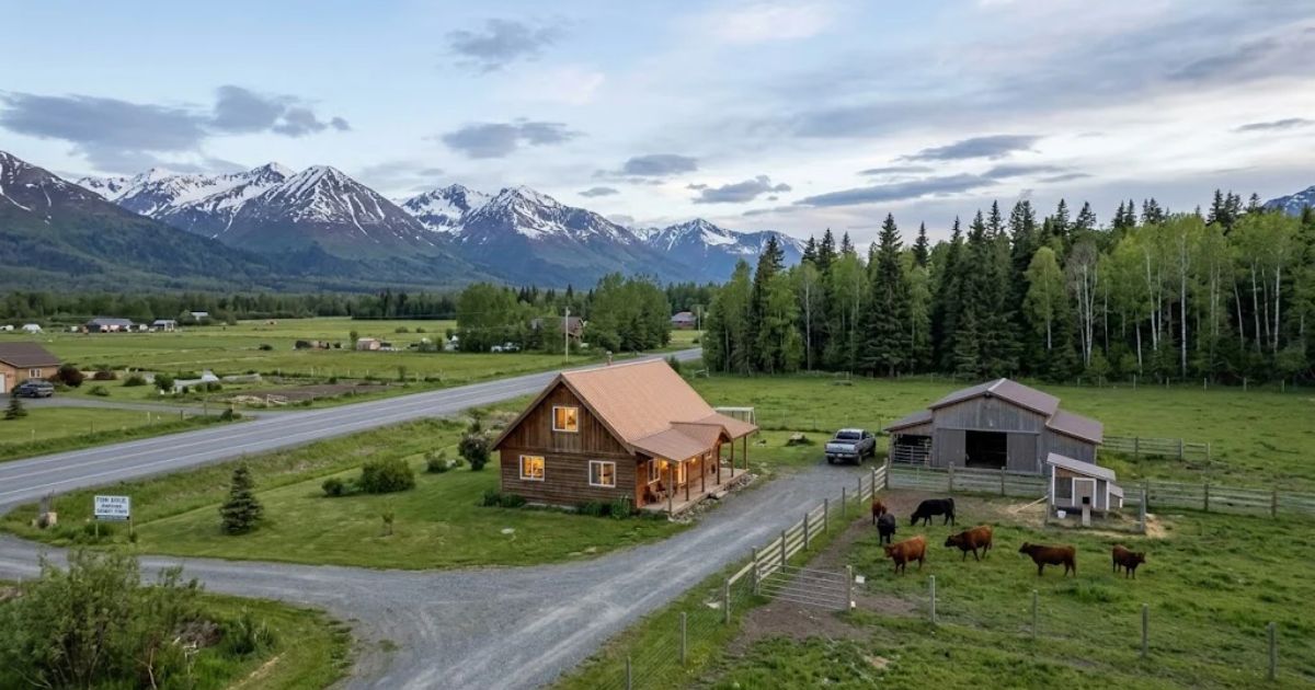 Farmhouse Properties featuring a rustic wooden farmhouse, cattle grazing in a fenced pasture, and snow-capped mountains in the background.