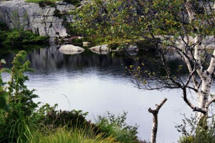 Malham Cove Malham is a spectacular natural limestone cliff located near the village of Malham Cove in Malham.