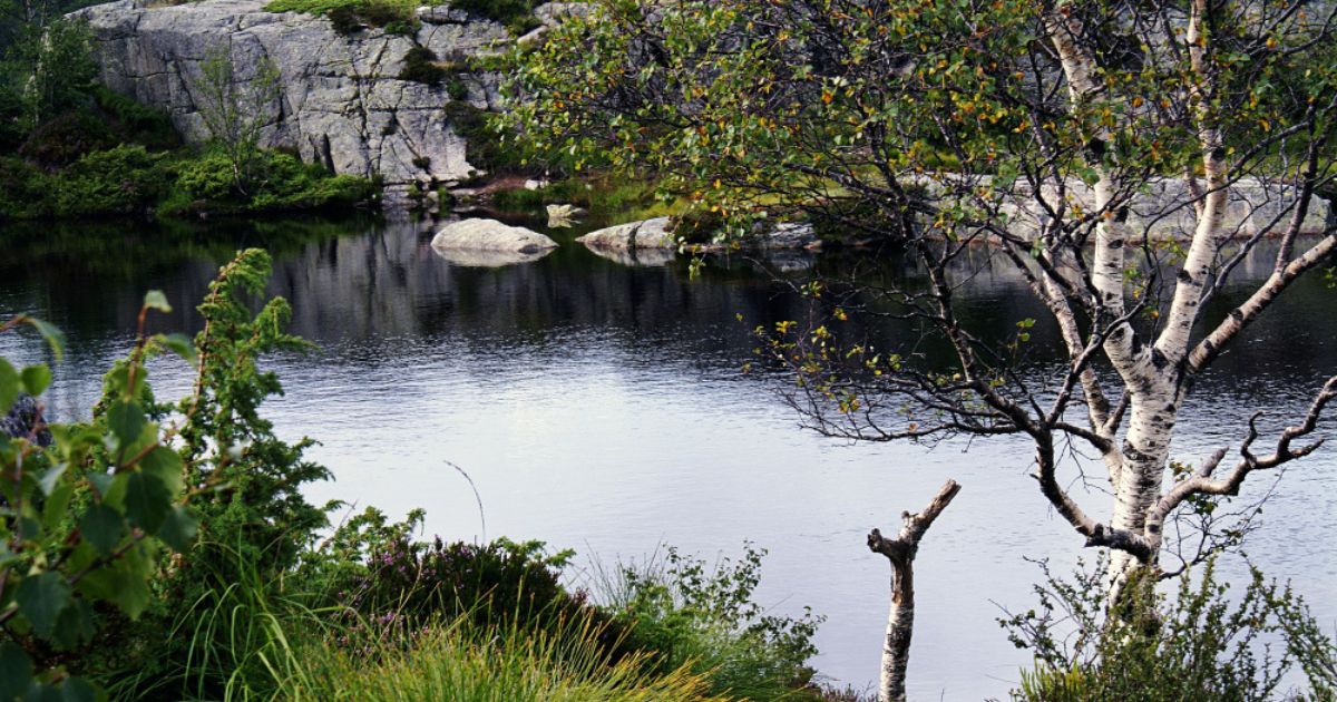 Malham Cove Malham is a spectacular natural limestone cliff located near the village of Malham Cove in Malham.